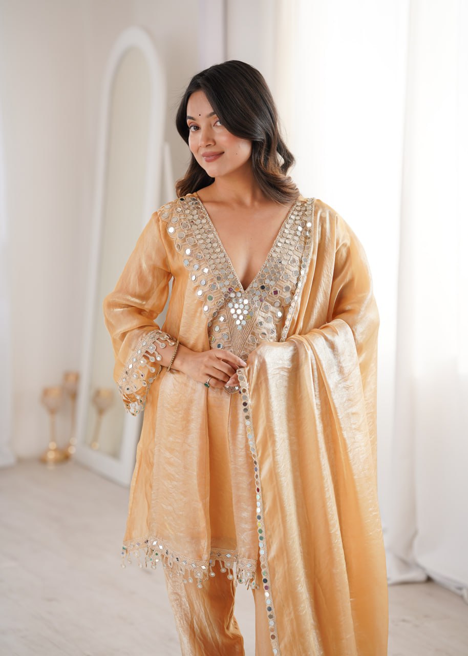 Festive Special Suit Set for Women – Rich Look Design