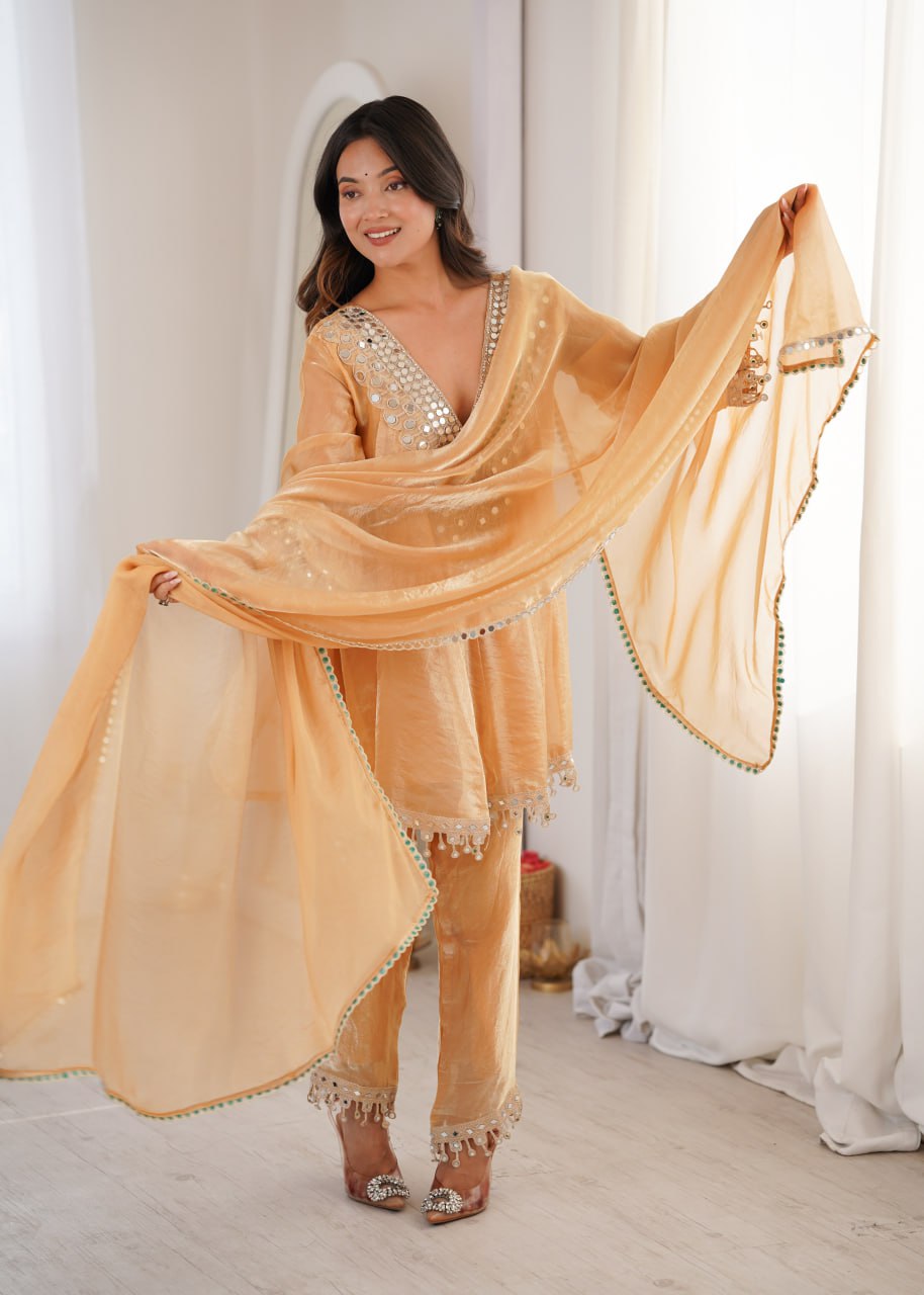 Festive Special Suit Set for Women – Rich Look Design
